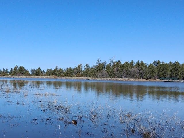 Woodland Lake Park Picnic Site